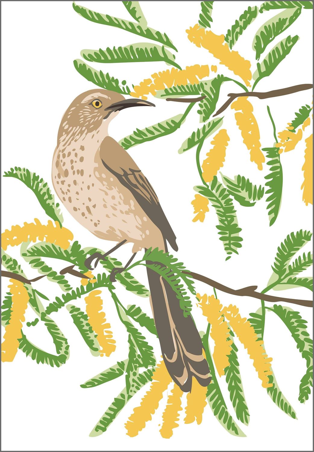 Thrasher Bird &amp; Desert  Mesquite Flower Magnet