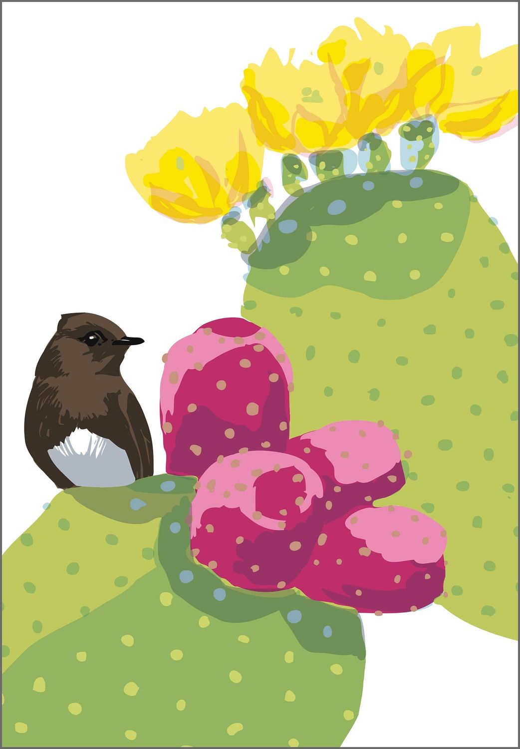 Black Phoebe Bird and Desert Cactus Fruit Magnet, Type of Bird: Phoebe
