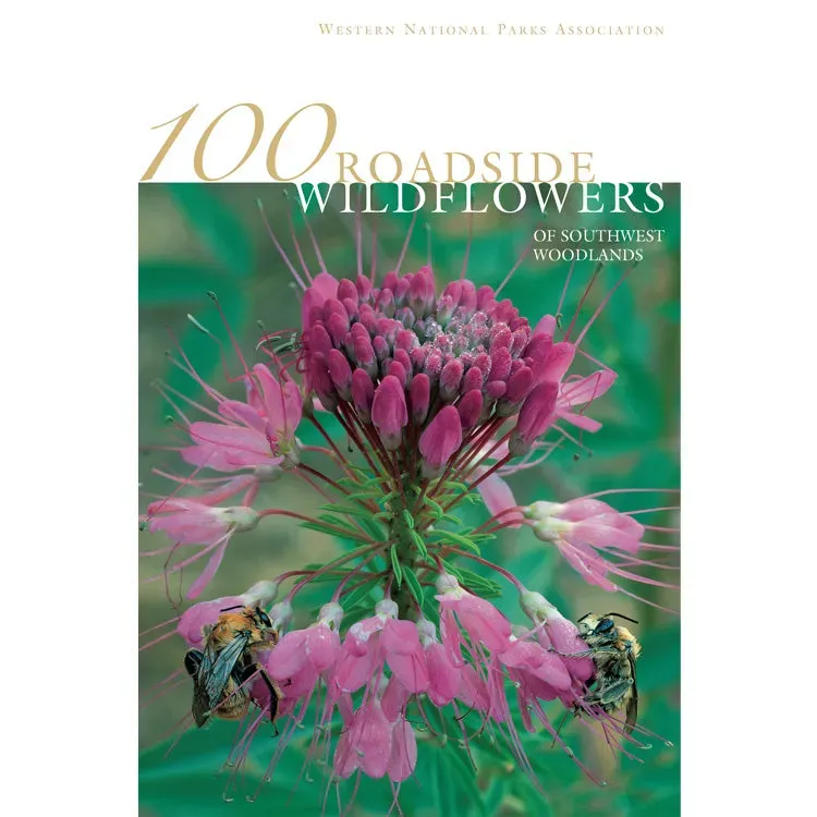 100 Roadside Flowers of Southwest Woodlands