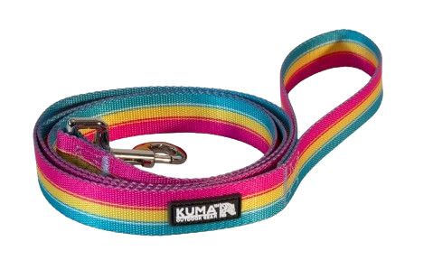 KUMA, Backtrack Dog Leash, Color: Lollipop Yellow/Pink/Teal
