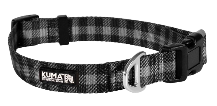 KUMA, Lazy Bear Dog Collar