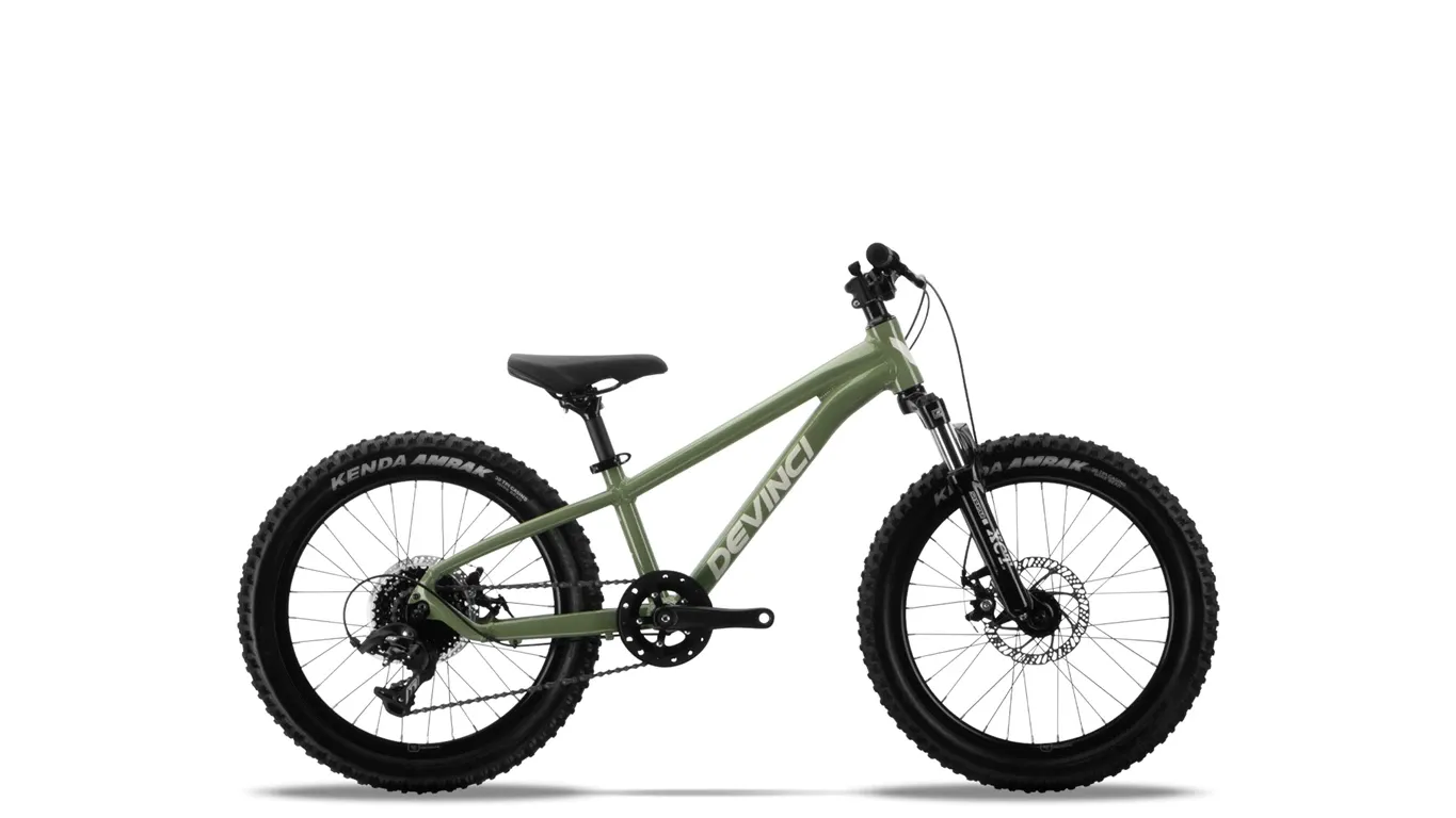 Devinci, Ewoc 20"