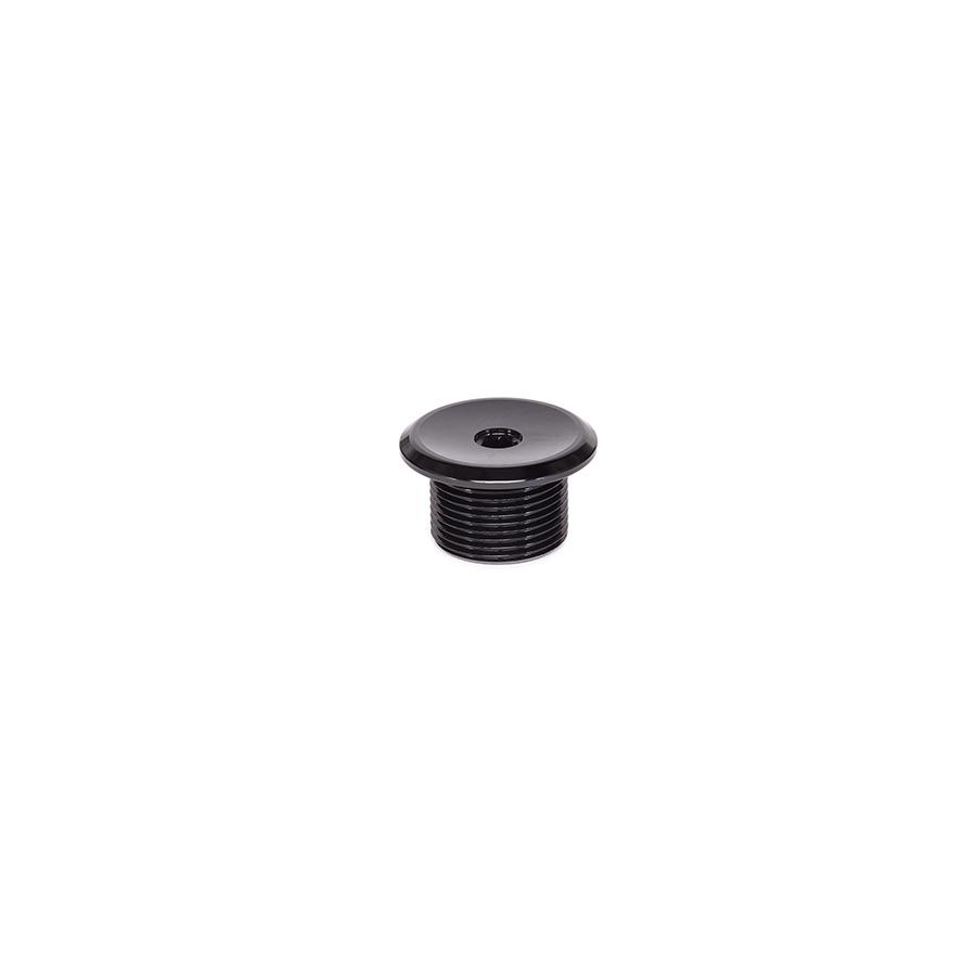 Salt Plus, HQ, Fork top bolt
