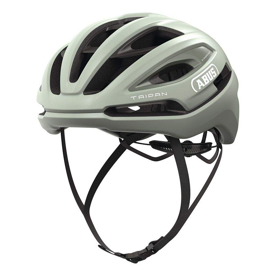 Abus, Taipan, Helmet, L, 57 - 61cm, Frosted Green