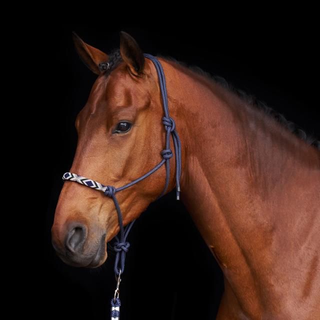 1601093800 HEAD COLLAR LAMU