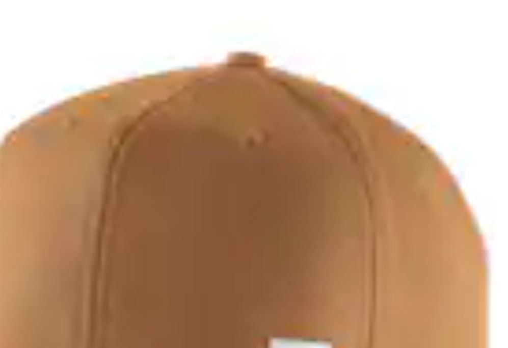 106665 CARHARTT FLAT CAP