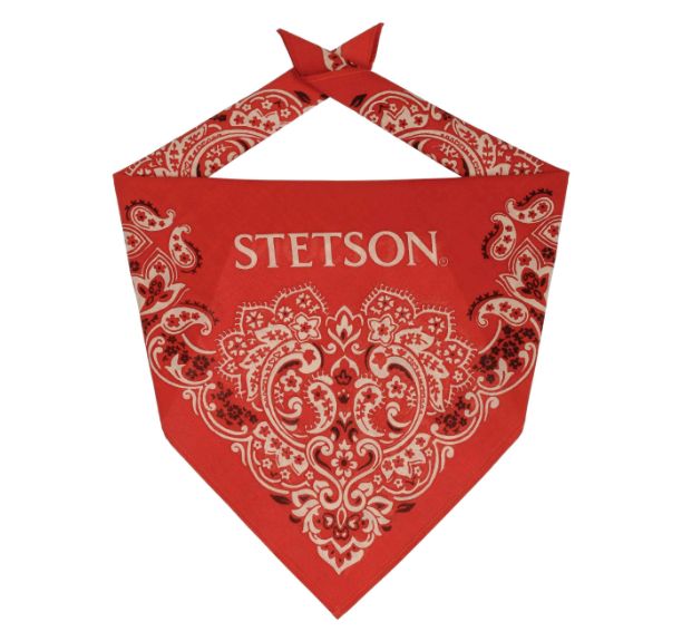 9191902 WILDRAG STETSON
