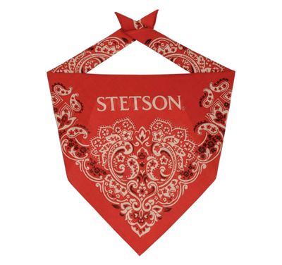 9191902 WILDRAG STETSON