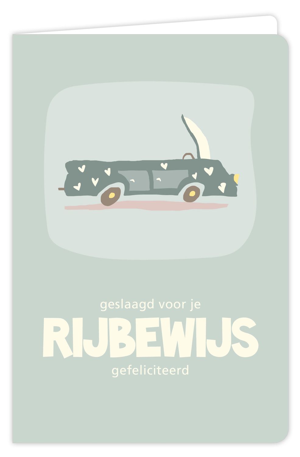Wenskaart - Flow - Rijbewijs