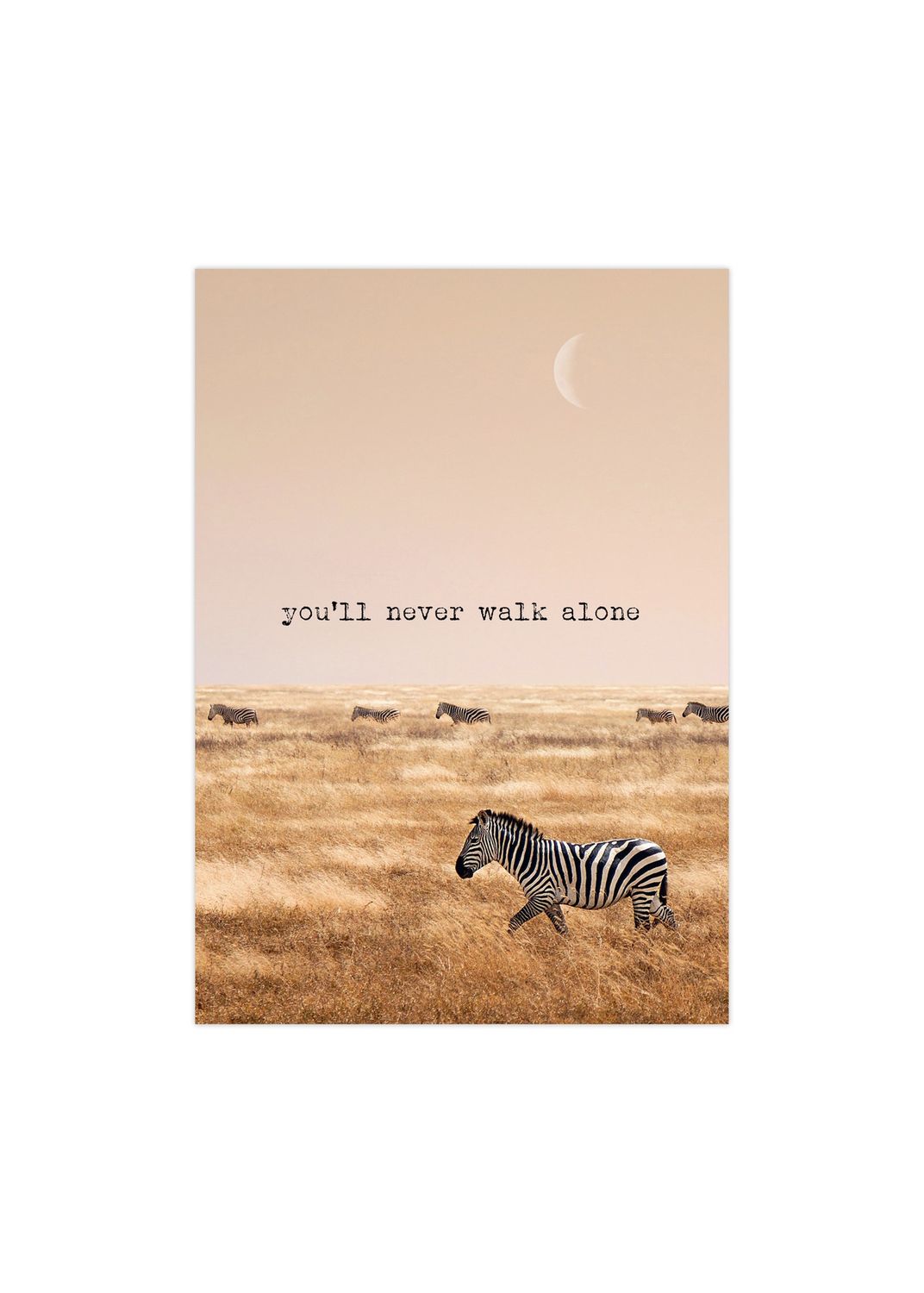 Poster - A5 - You'll never walk alone