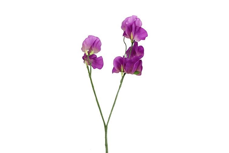 Kunstbloem - Lathyrus - Magneta