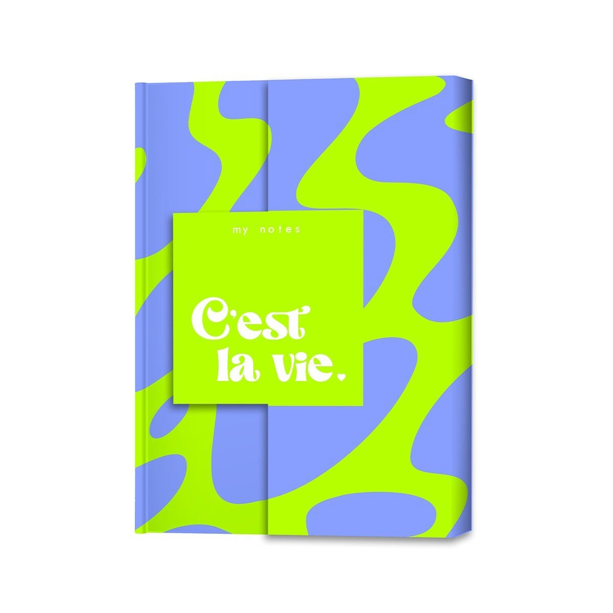 My notes - C'est la vie.