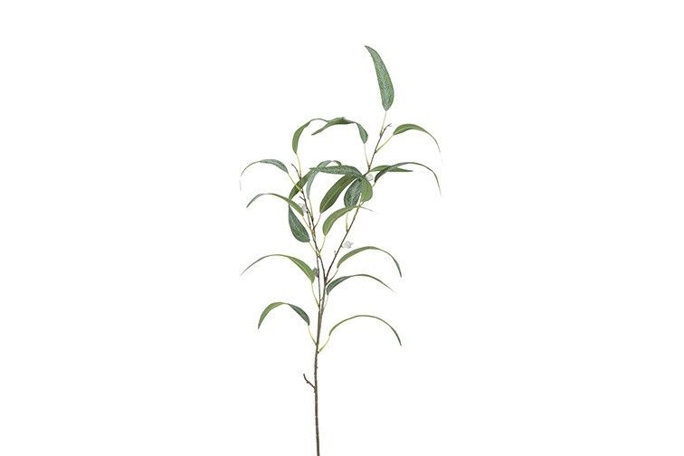 Kunstblad - Eucalyptus