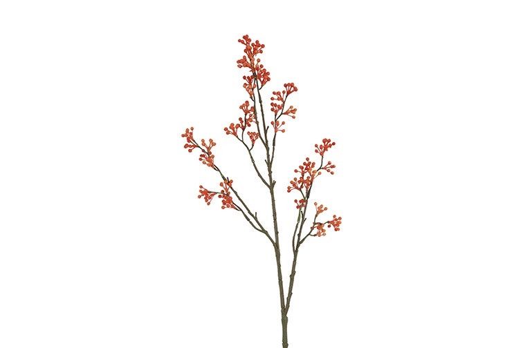 Kunstknop - Lycium - Oranje