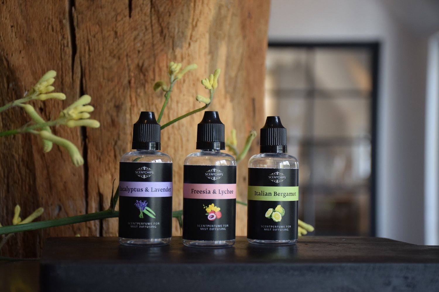 Scentchips - Aromadiffuser geurolie - Vanilla &amp; Fig - 50ml