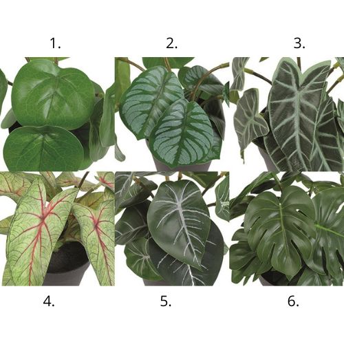 Kunst plant