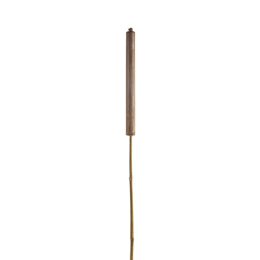Tuinfakkel - Bruin