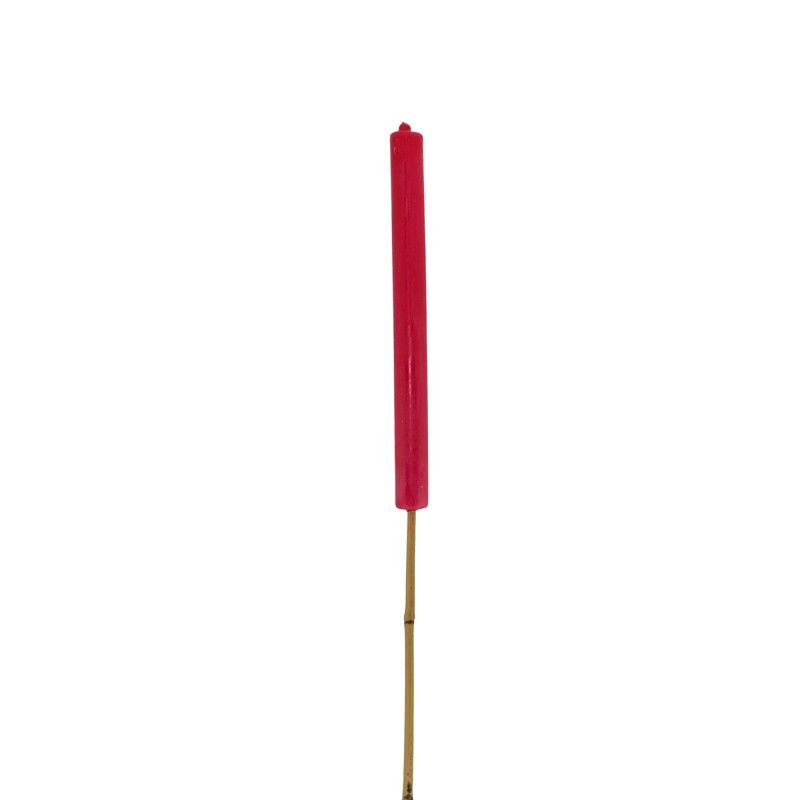 Tuinfakkel - Fuchsia