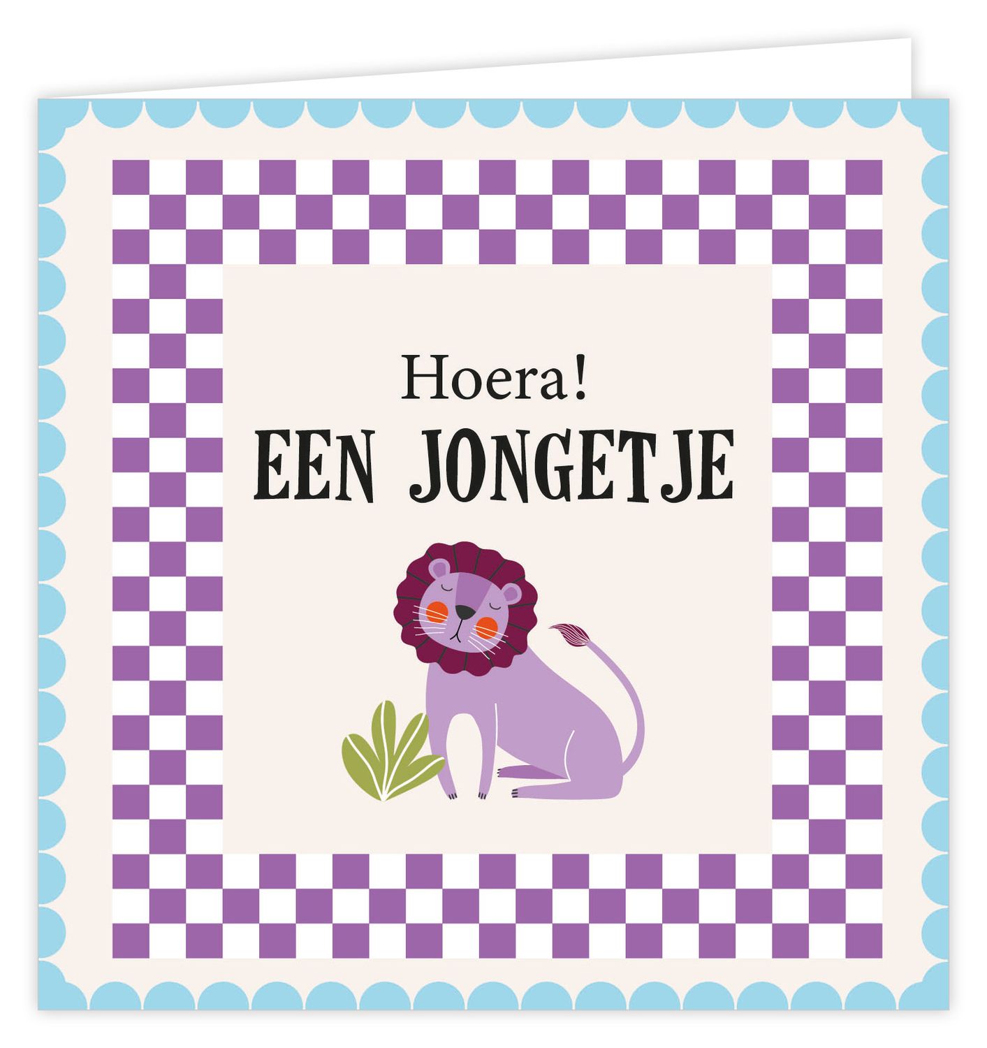 Wenskaart - Palm - Hoera! Een jongetje