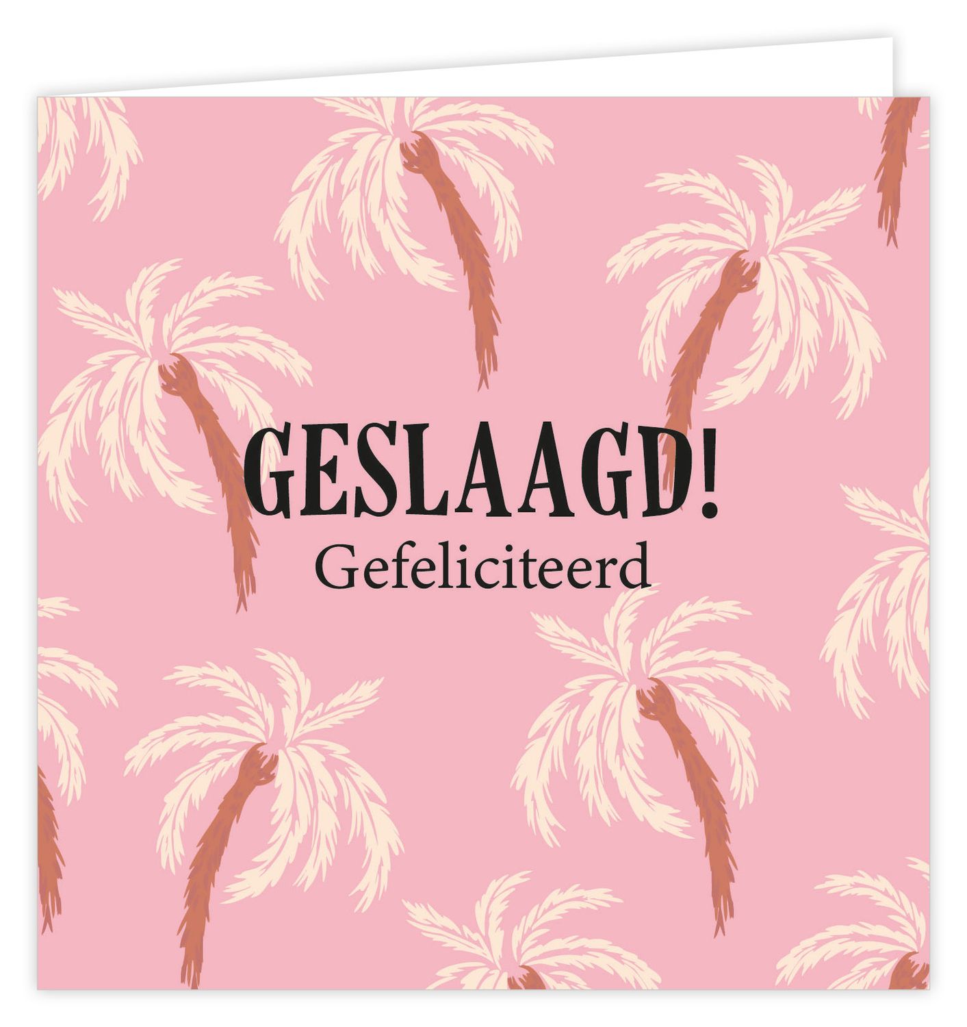 Wenskaart - Palm - Geslaagd!