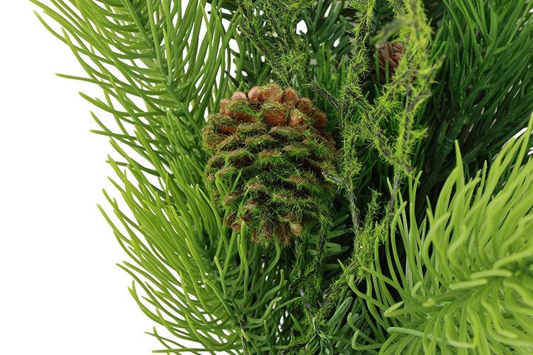 CF - Festoen Pinus sylvestris - Groen