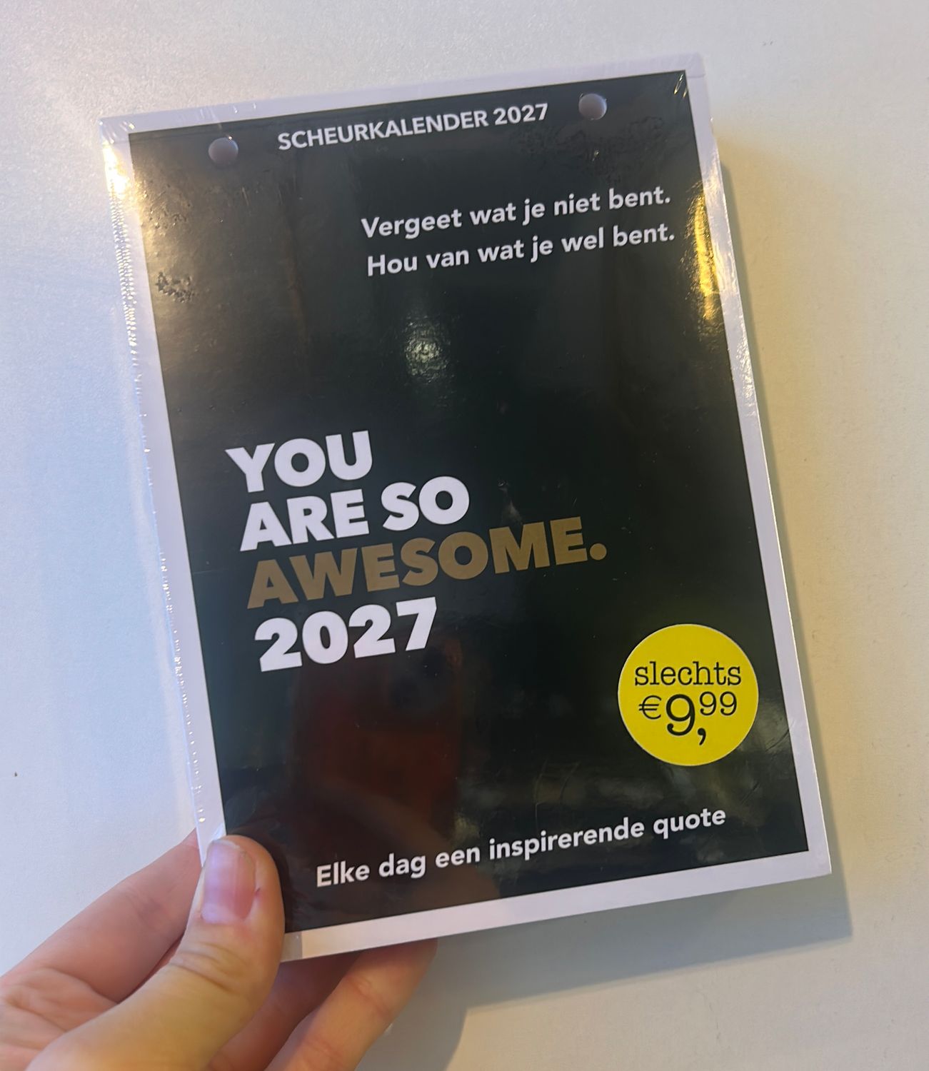 Scheurkalender 2027 - You are so awesome.