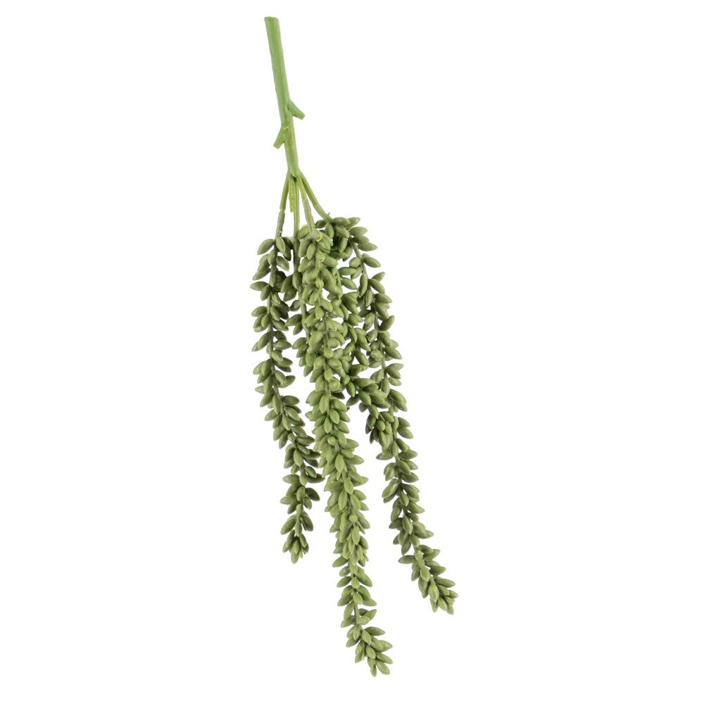 Kunstgroen - Erwten plant