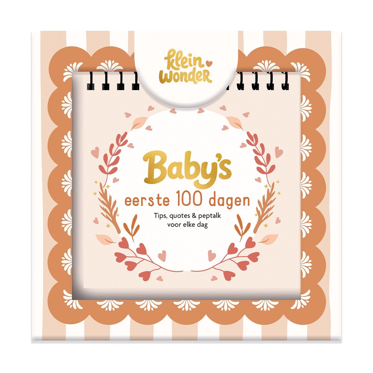 Baby's eerste 100 dagen