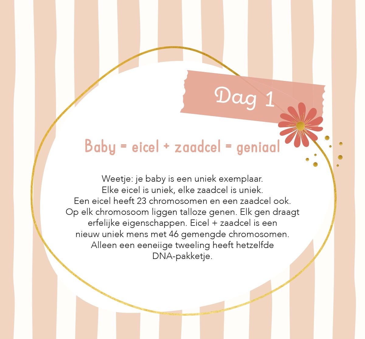 Baby's eerste 100 dagen