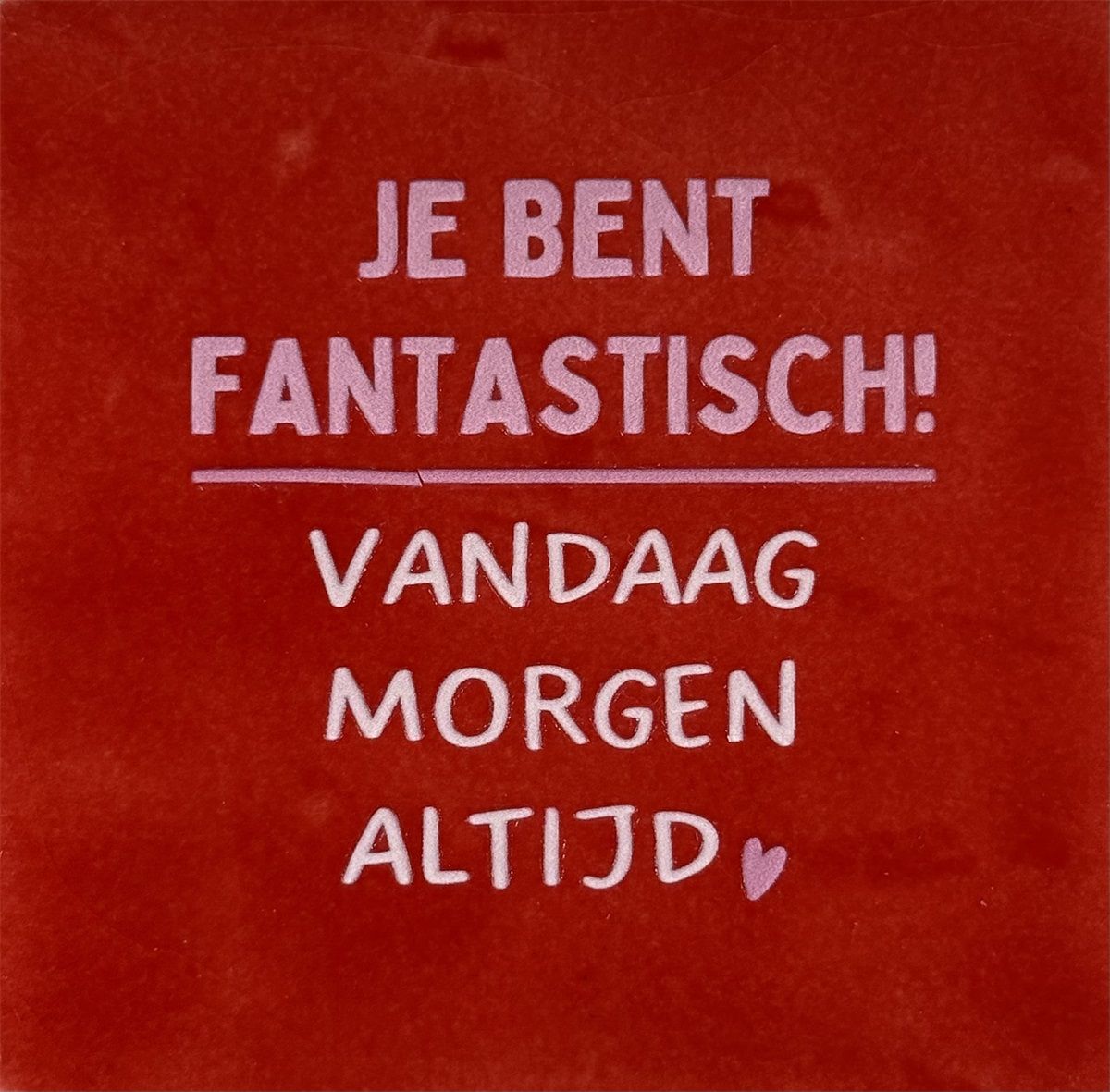 Tegeltje - Je bent fantastisch… - Rood