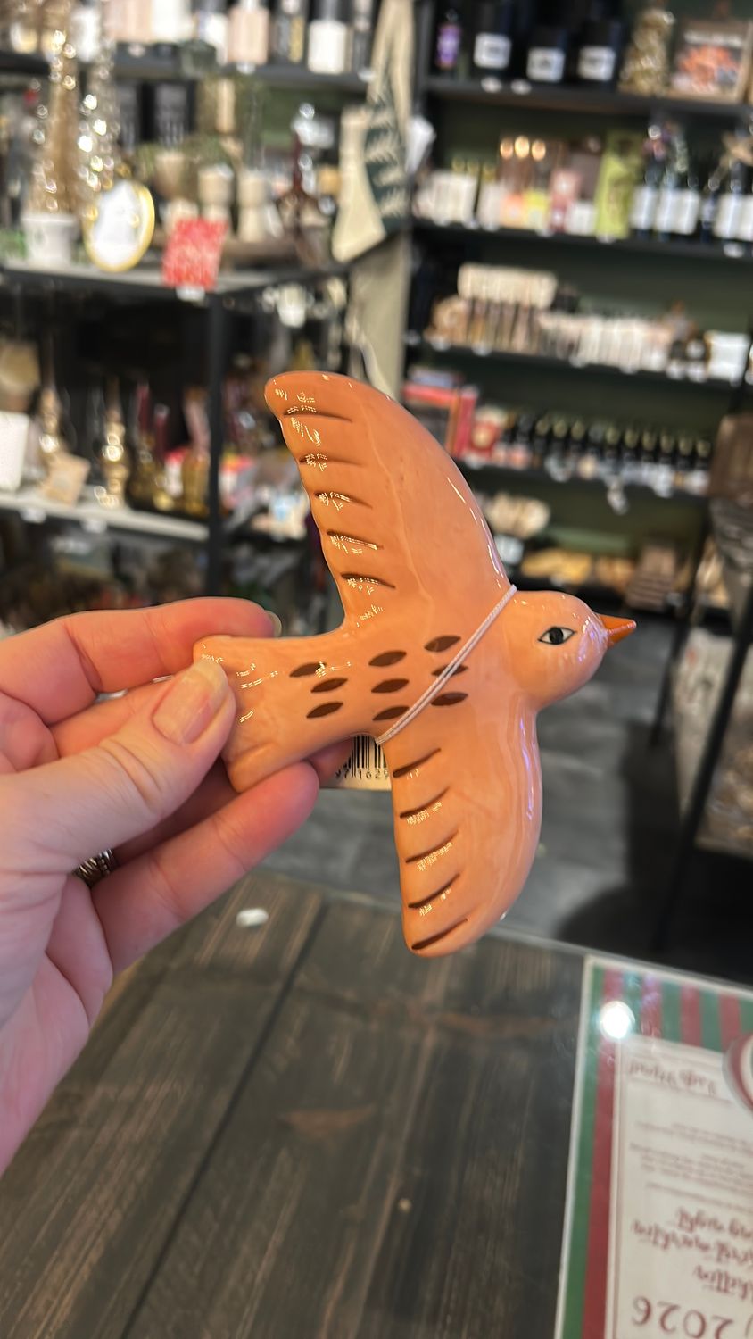 Wanddecoratie - Vogel - Zazu