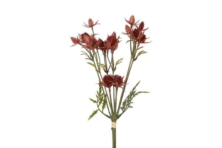 CF - Kunstbloem - Eryngium bordeaux