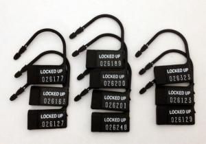 Chastity Plastic Locks (Set of 10)