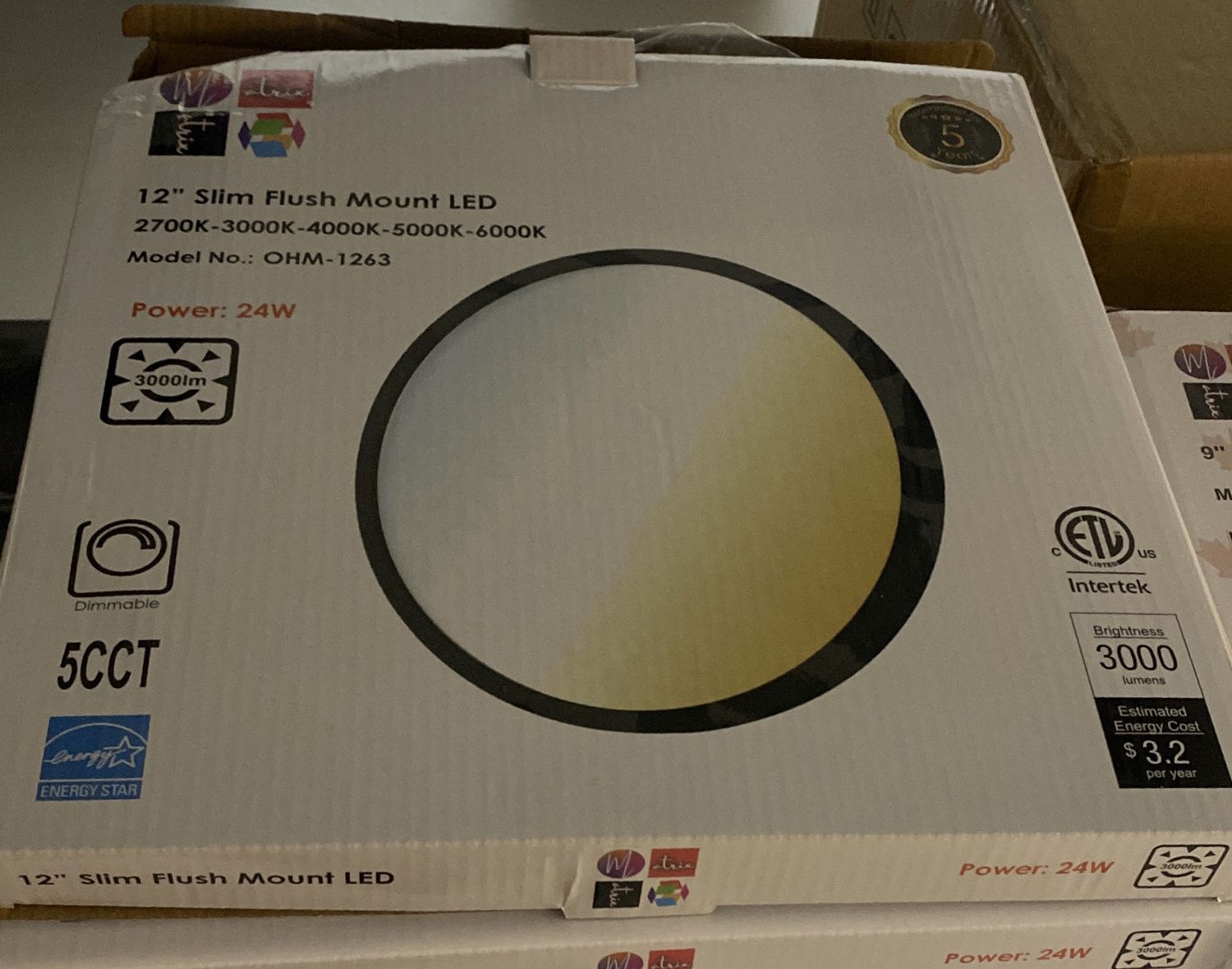 12” Slim Flush Mount LED Black