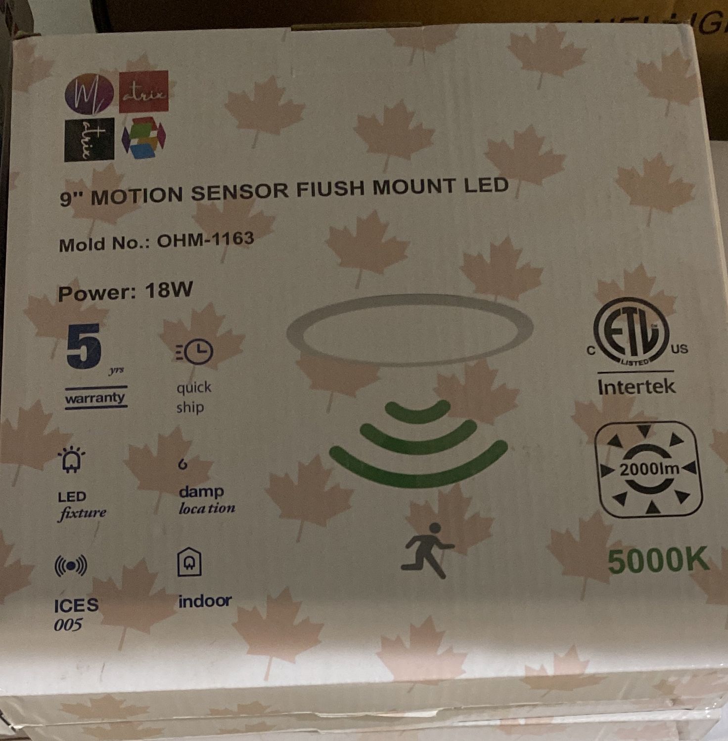 9” Motion Sensor Flush Mount LED