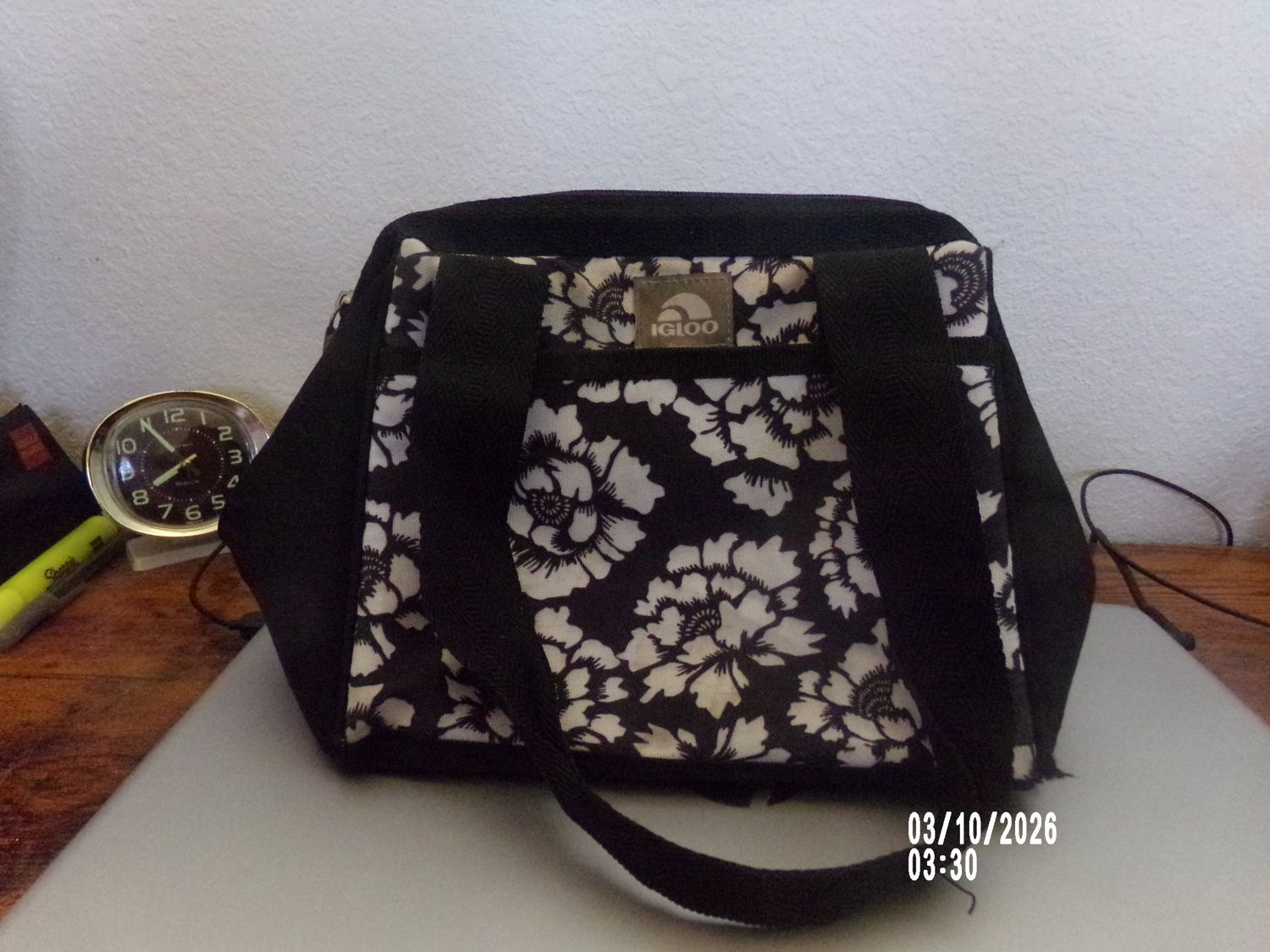 Insulated lunch bag used IGLOO