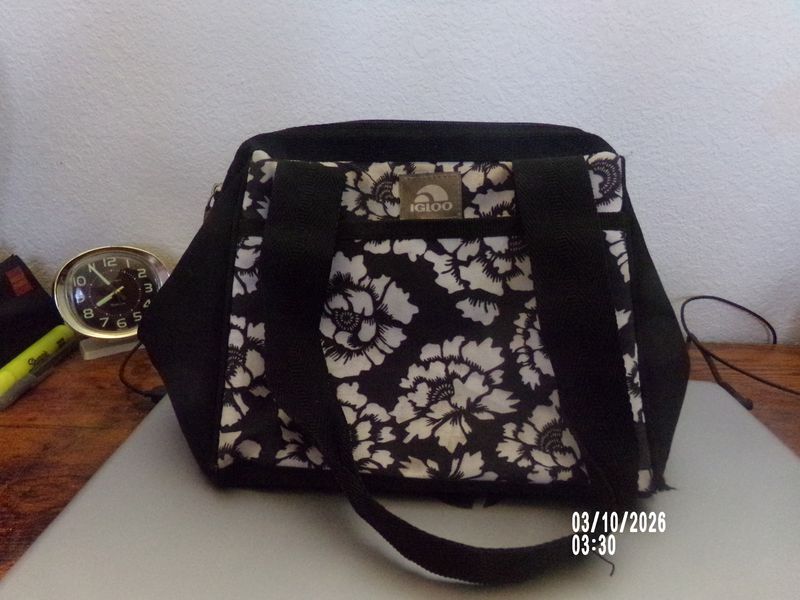 Insulated lunch bag used IGLOO