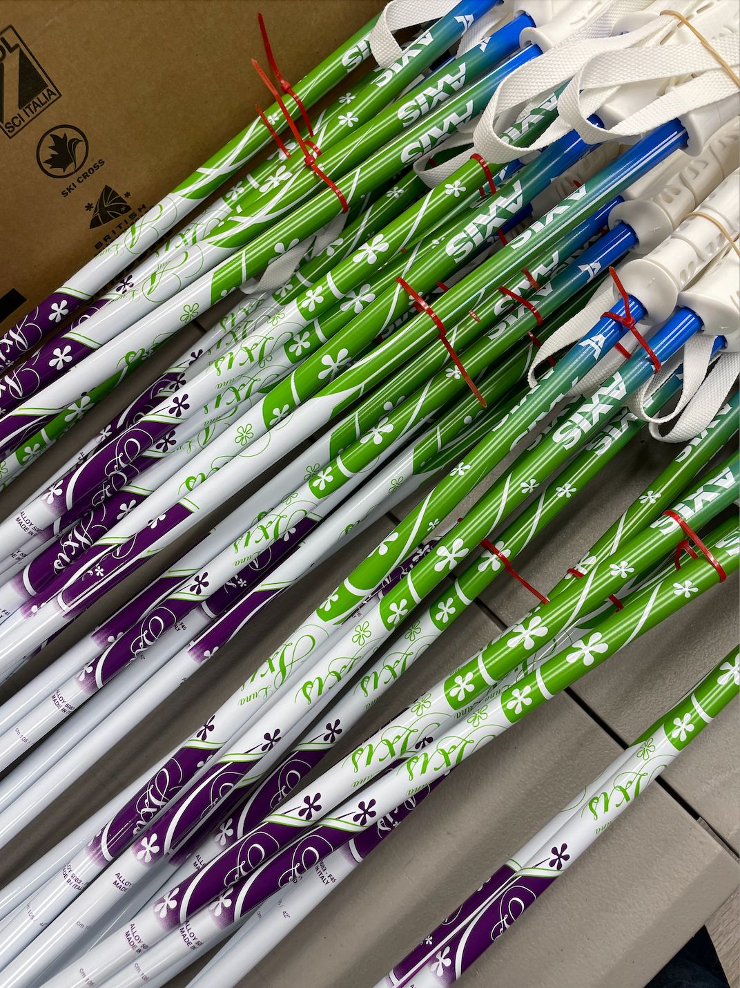 LUNA Jr POLE - Purple/green/blue