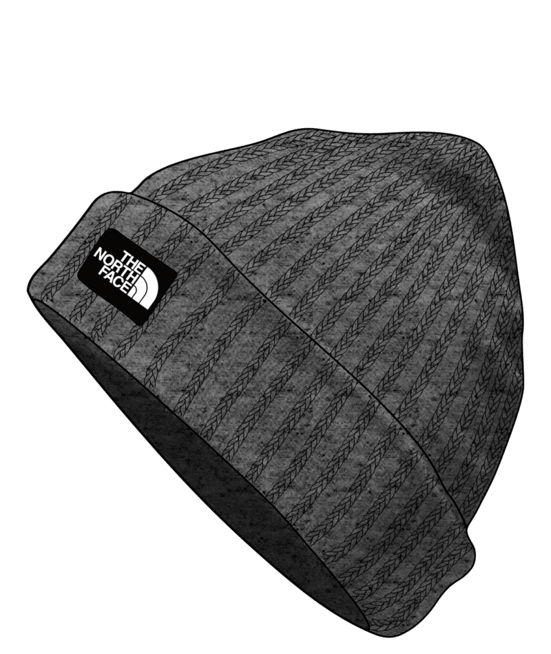 THE NORTH FACE SALTY LINED BEANIE