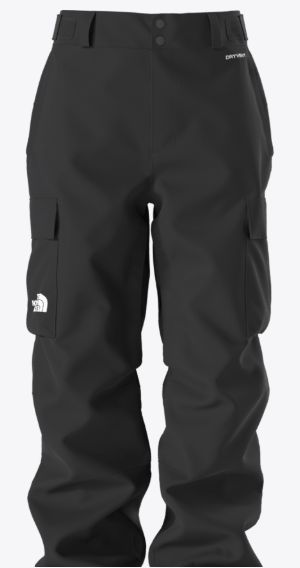 THE NORTH FACE MEN'S BLIZZARDERY CARGO PANT