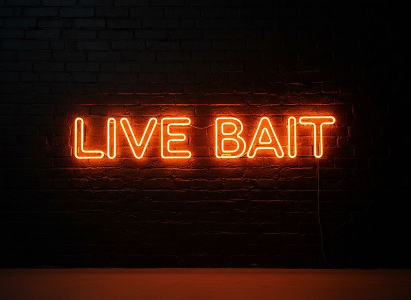 Live Bait