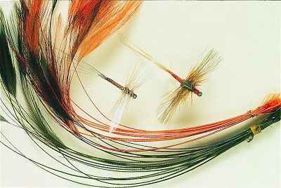 Veniard Ready Stripped Hackle Quills