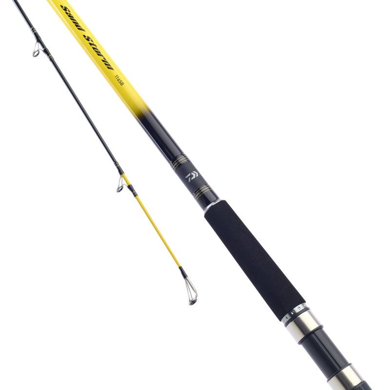 Shore and Beach Rods