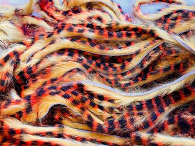 Flybox Tiger Barred Rabbit Strips