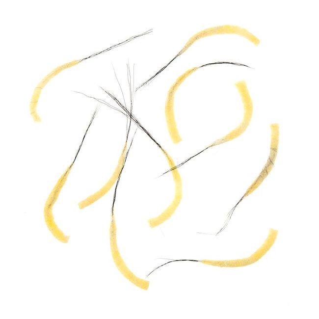 Hemingways Tube Body May Fly