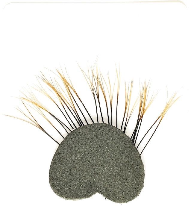 Veniard Natural Boar Bristles