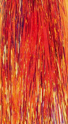 Veniard Mirror Flash