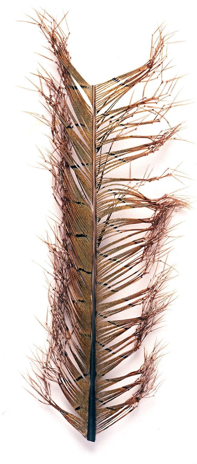 Veniard Knotted Pheasant Tail