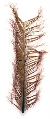 Veniard Knotted Pheasant Tail