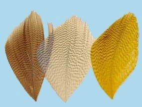 Turrall Mallard Flank